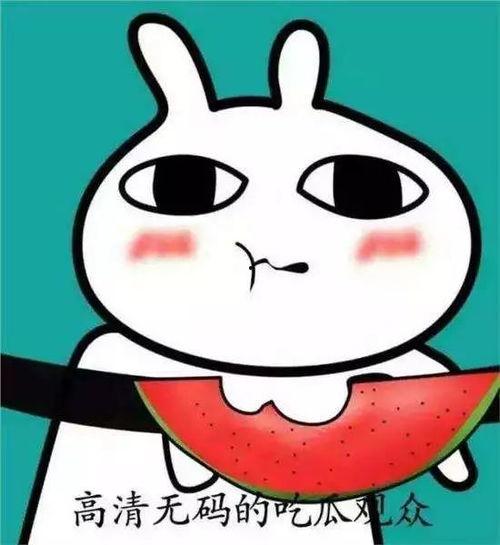 吃瓜表情包简化,轻松幽默的社交新宠  第2张